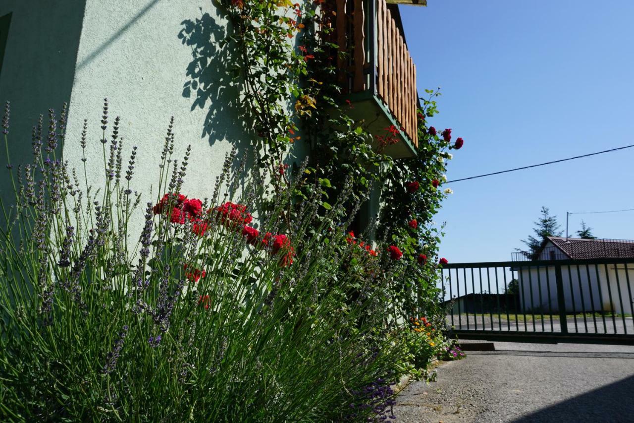 Holiday Home Maderka Strigova Esterno foto
